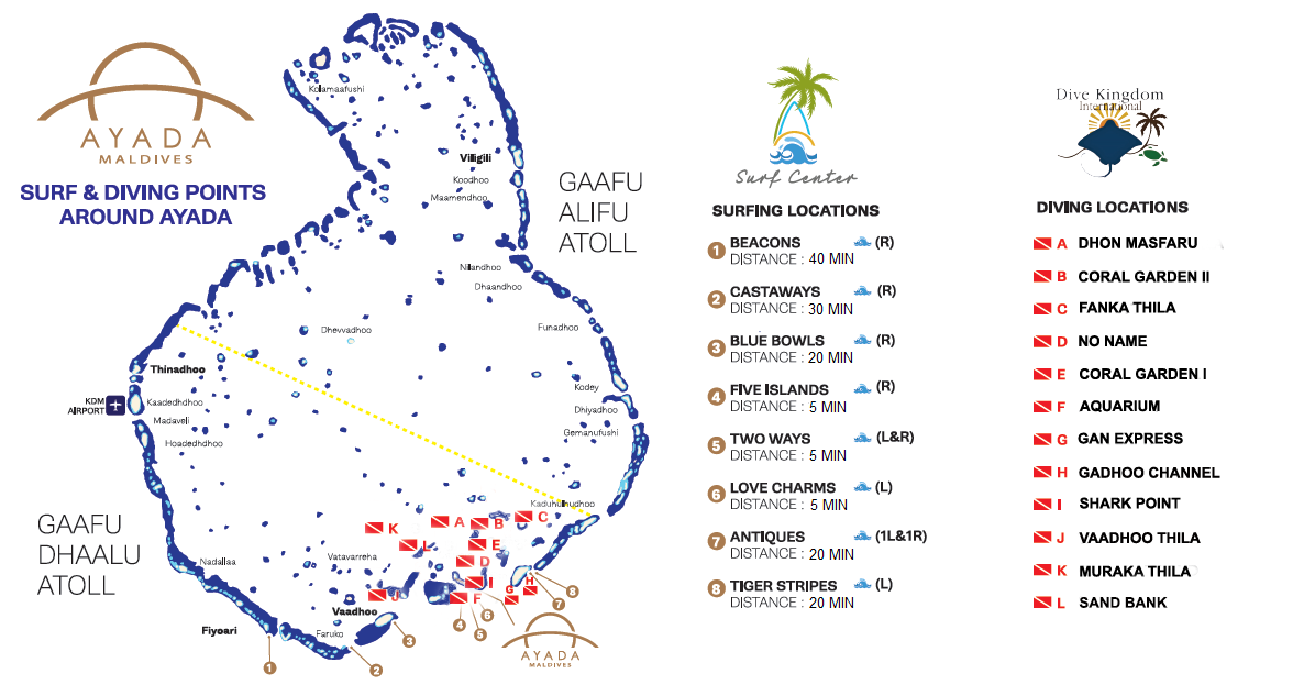 潜水王国 - pic 4