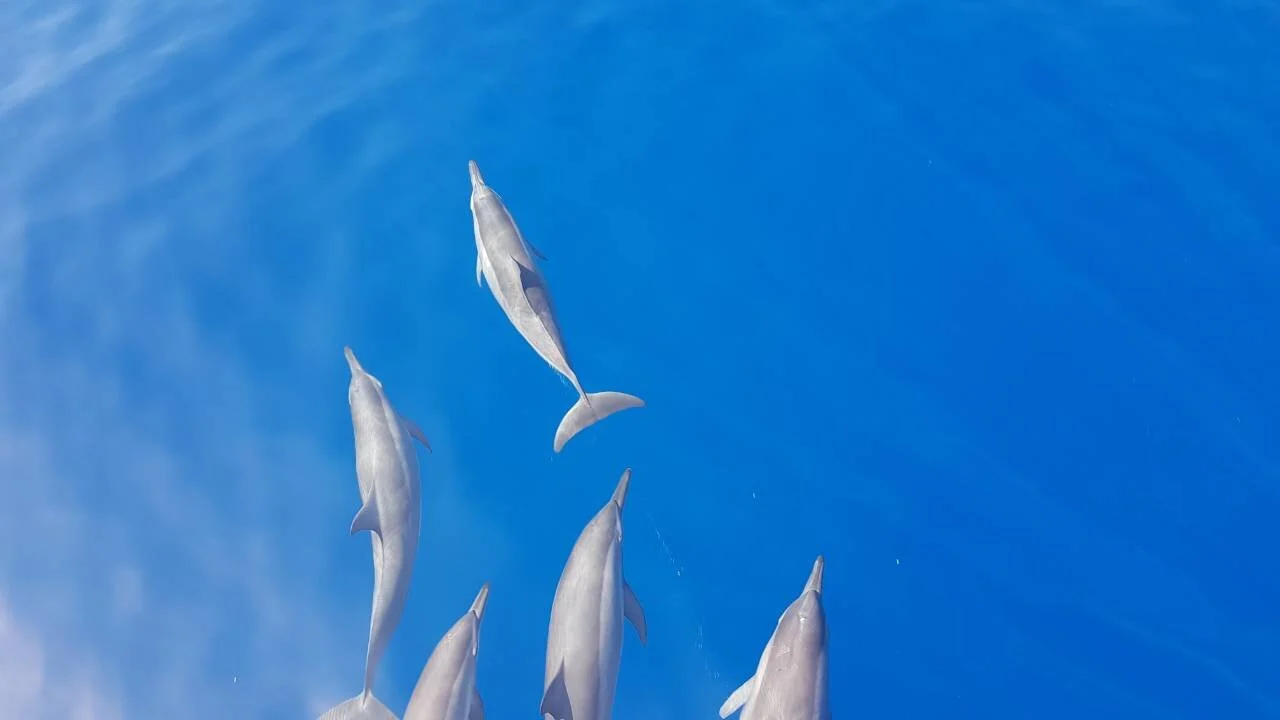 短途旅行 - pic 2