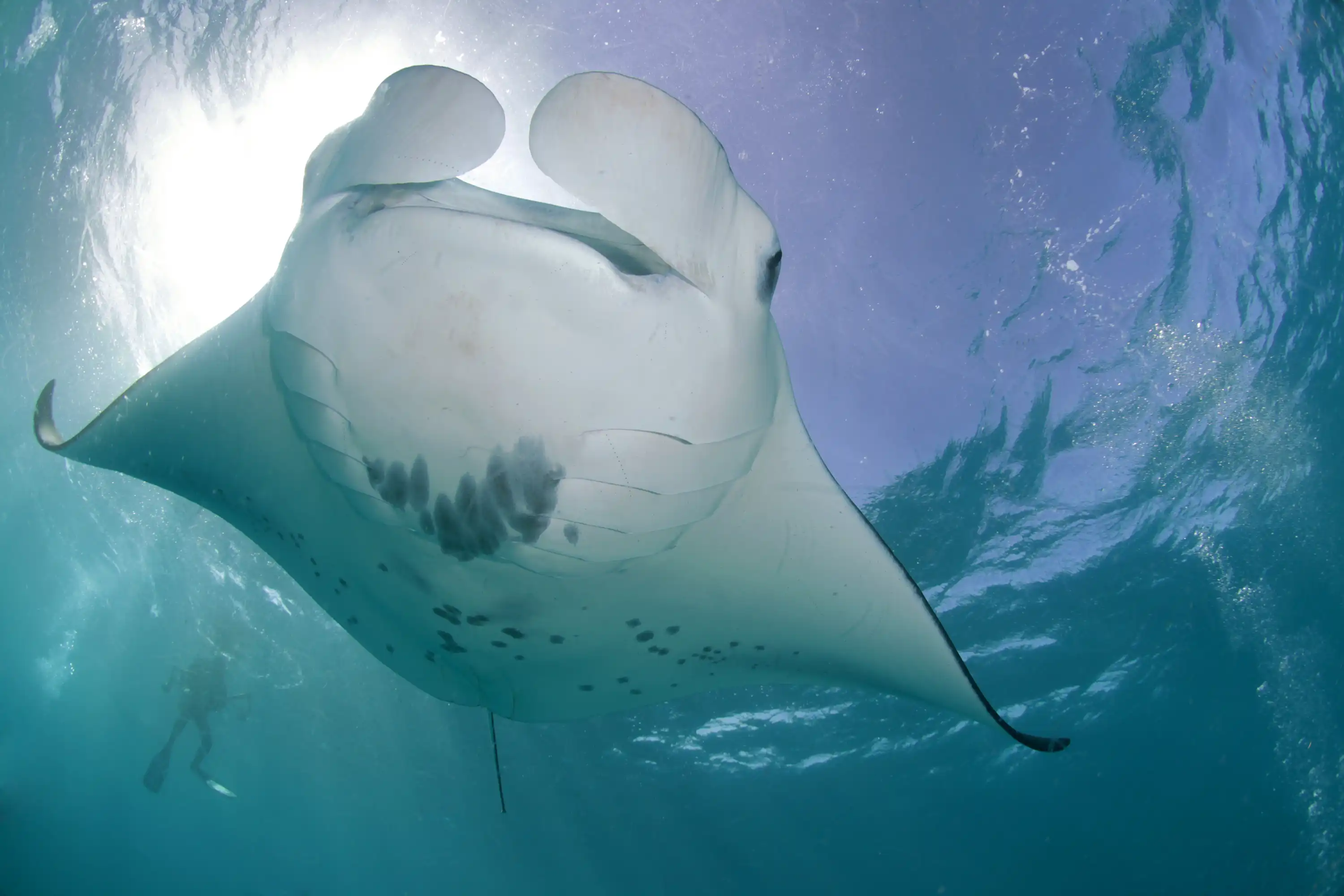 海洋潜水中心 - pic 6