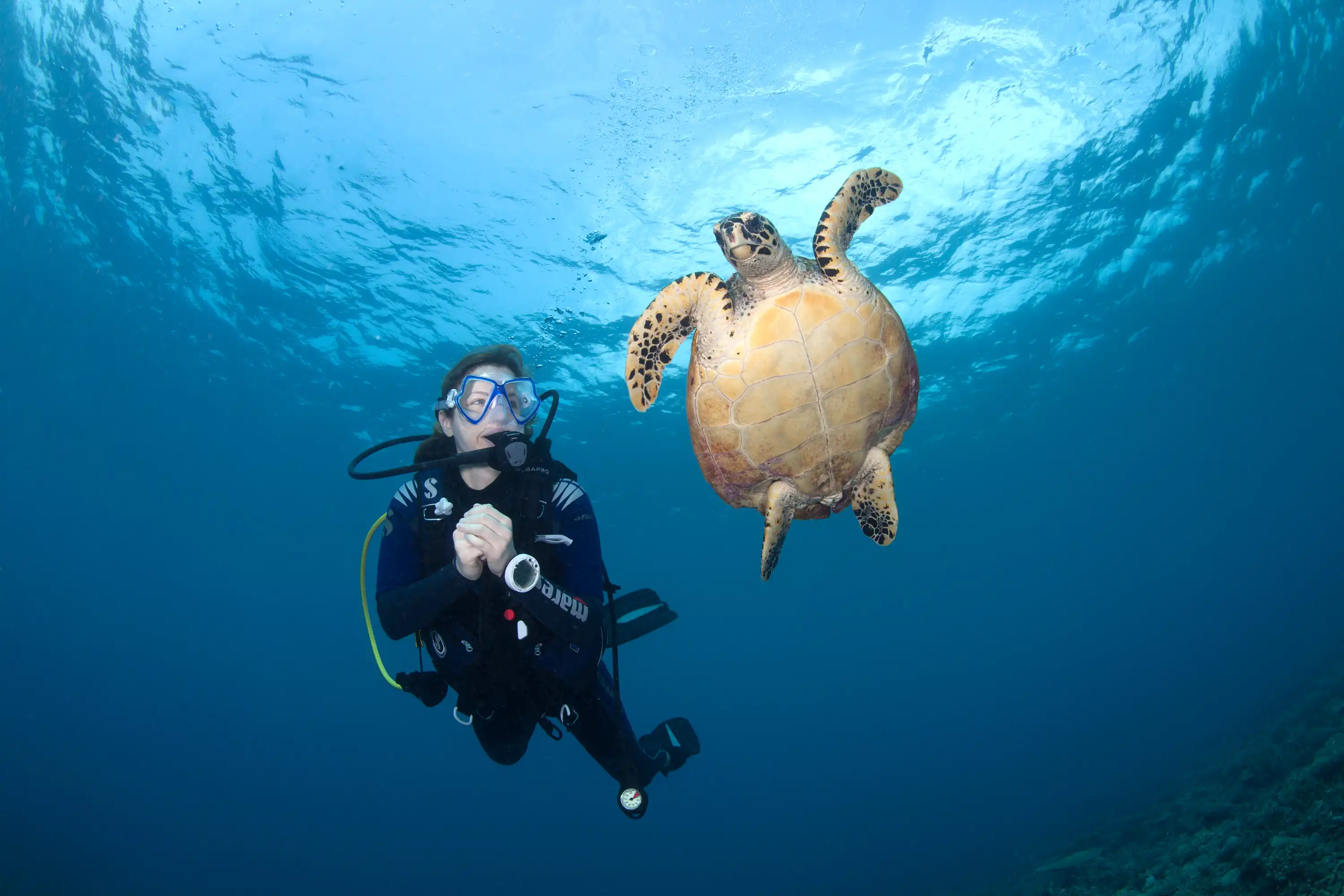 海洋潜水中心 - pic 8