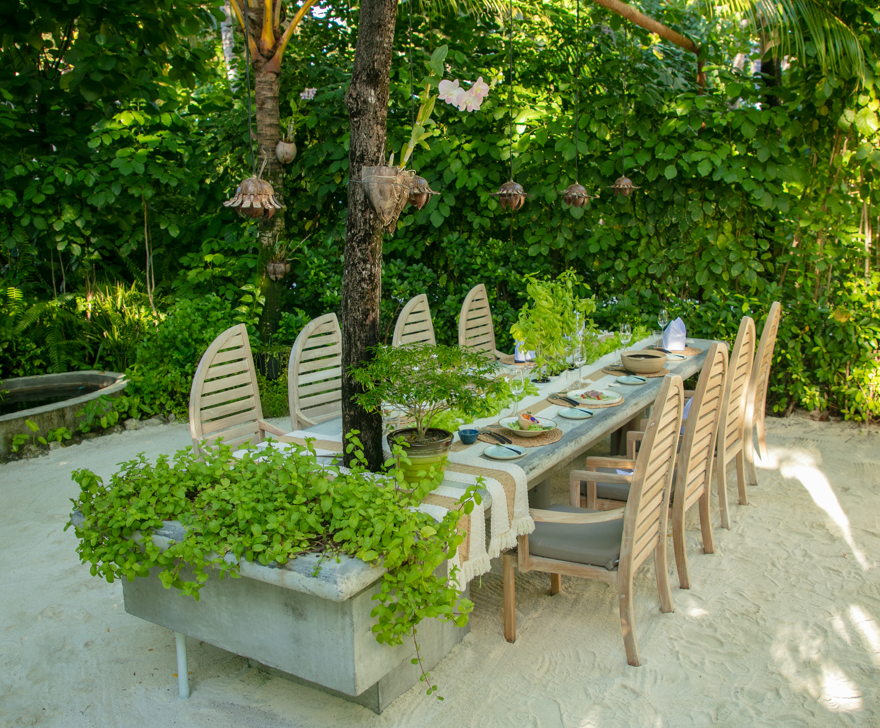 Eco Licious