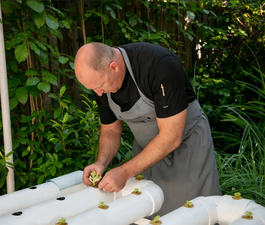 Eco Licious 生态花园 - pic 3