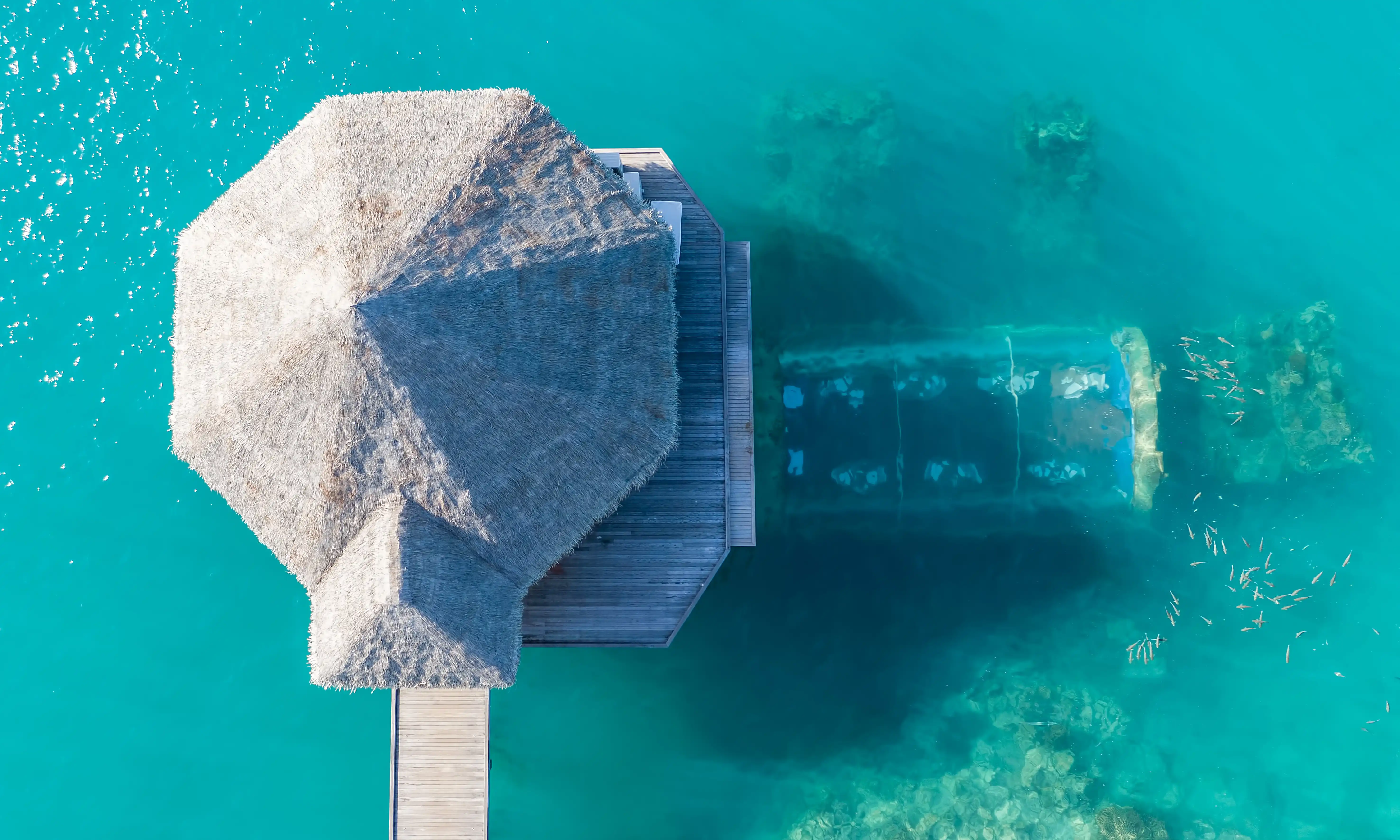 Ithaa Undersea Restaurant - pic 3