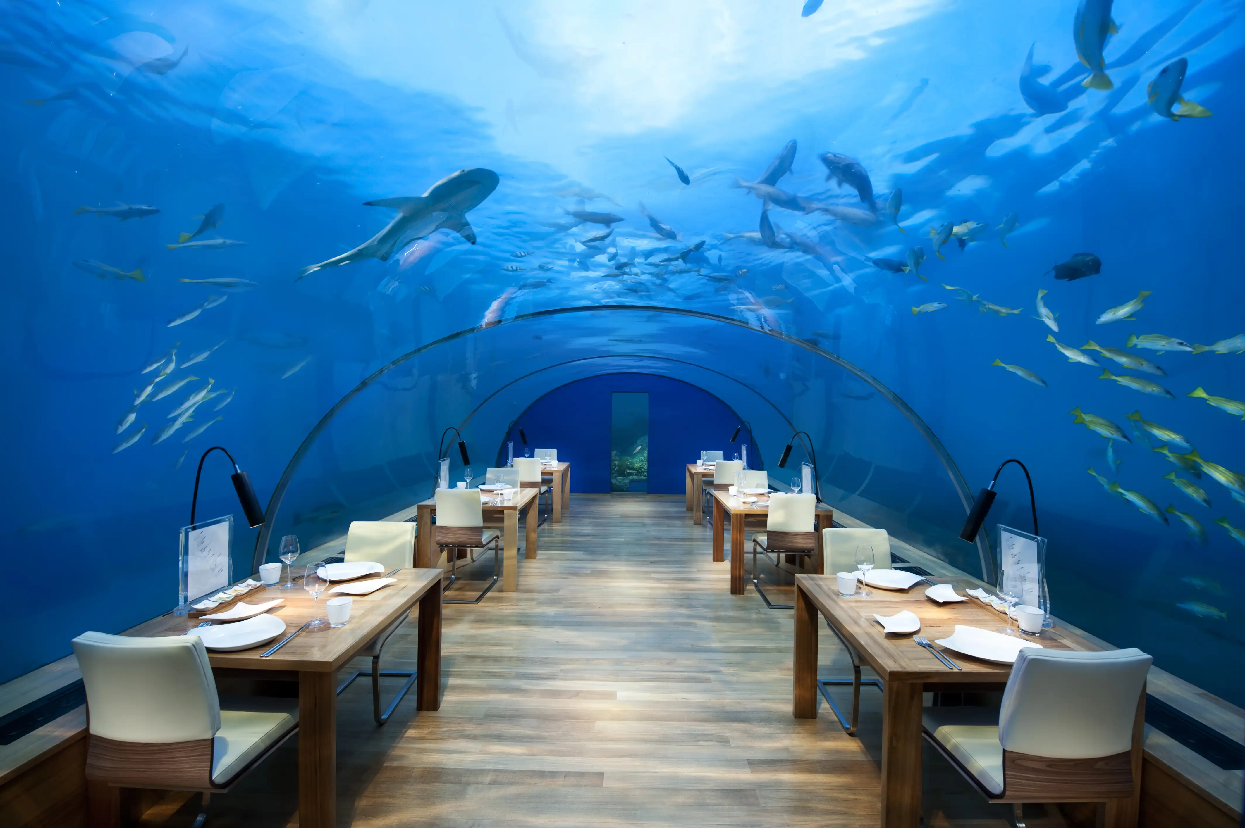 Ithaa Undersea Restaurant