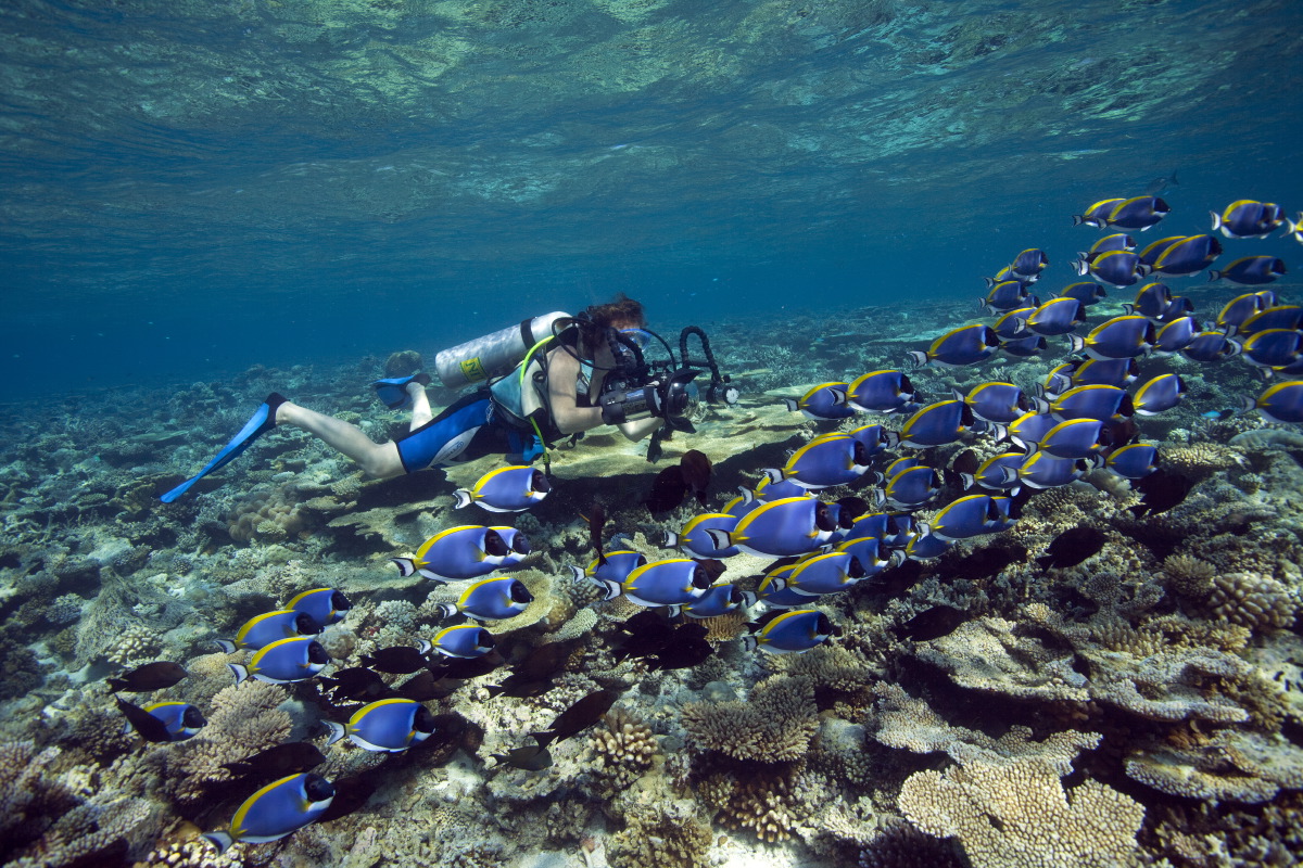 Marine Center - pic 3