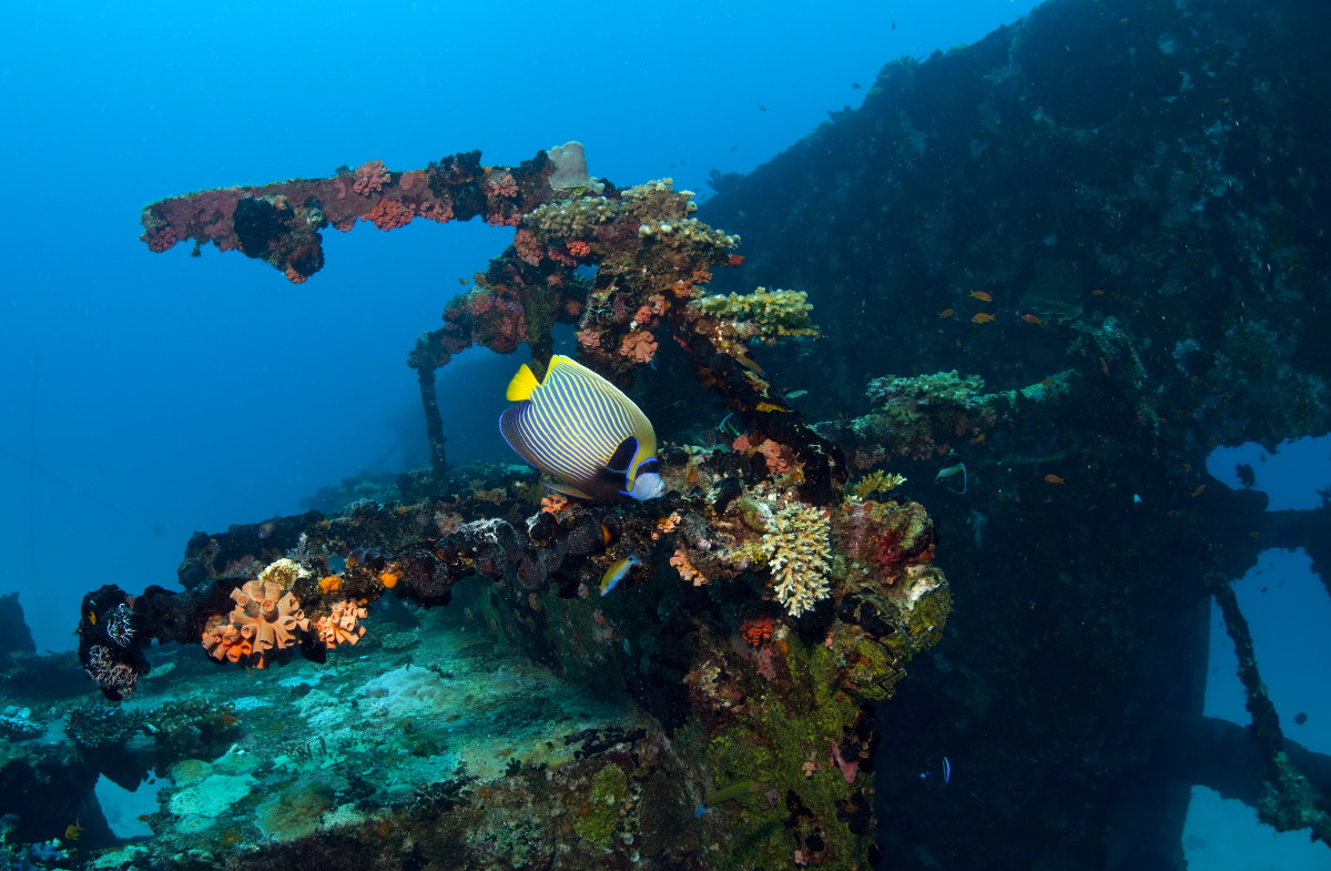 Marine Center - pic 4