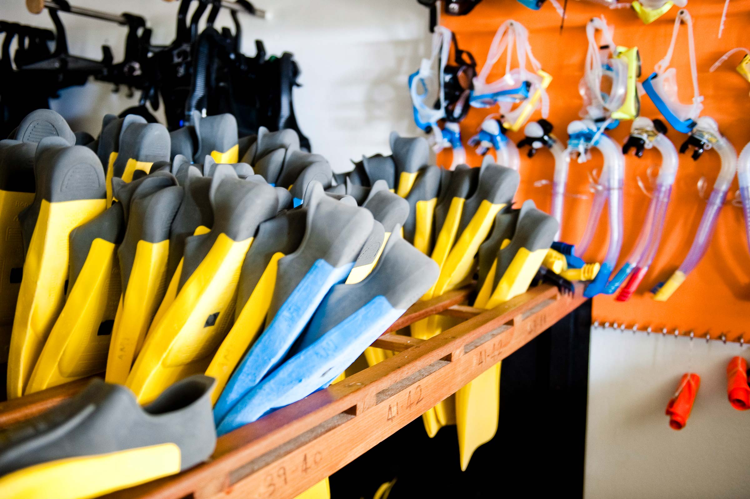 Marine Center - pic 2