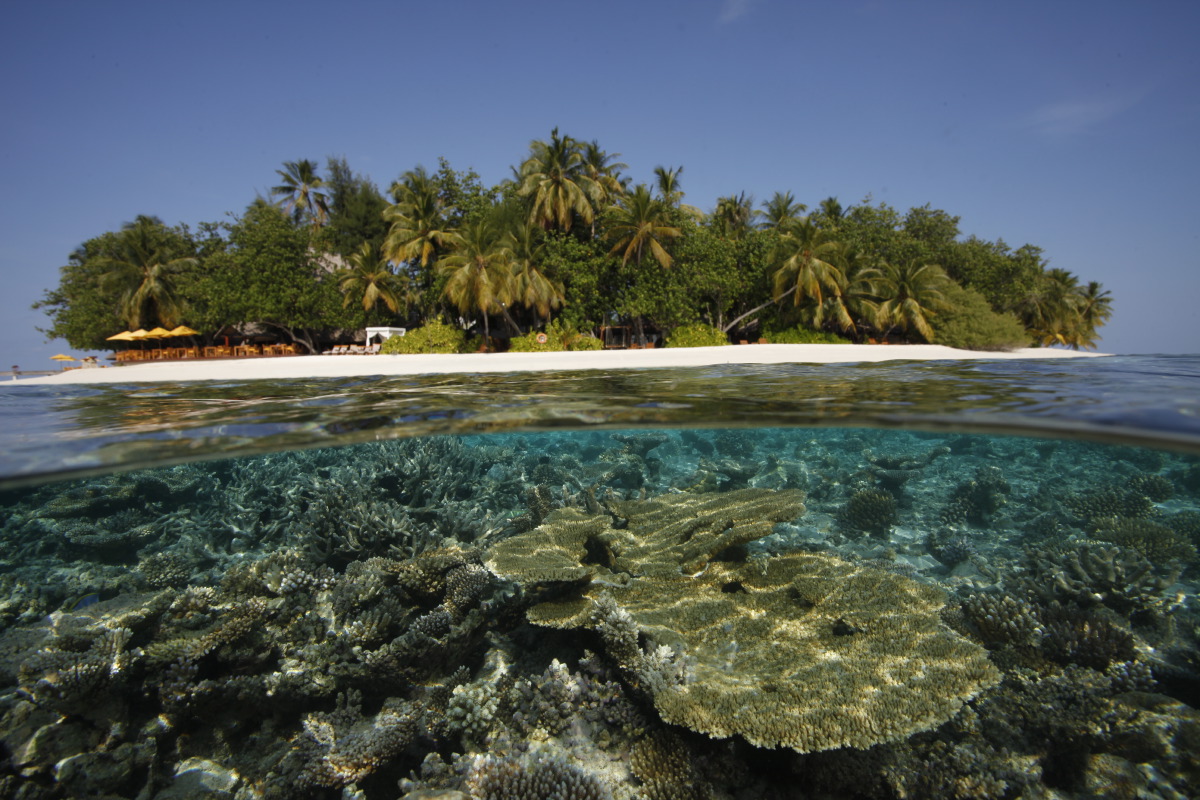 Marine Center - pic 5