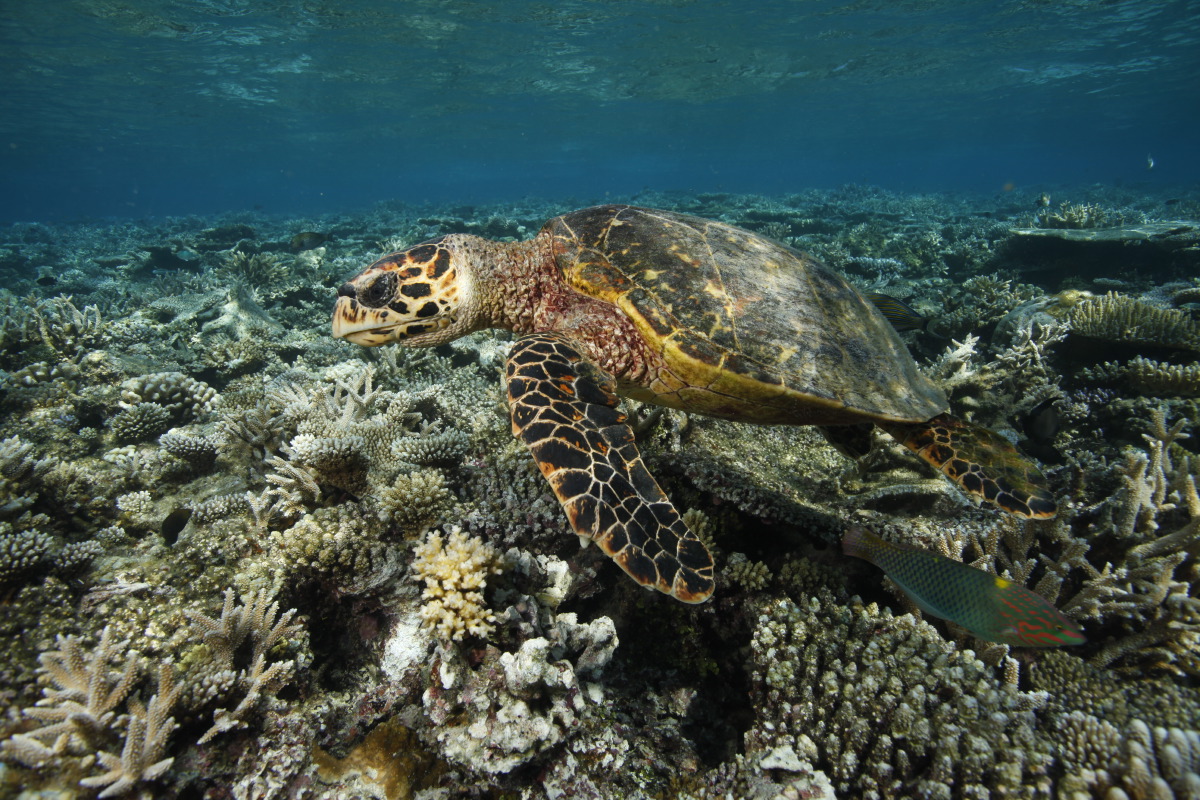 Marine Center - pic 7