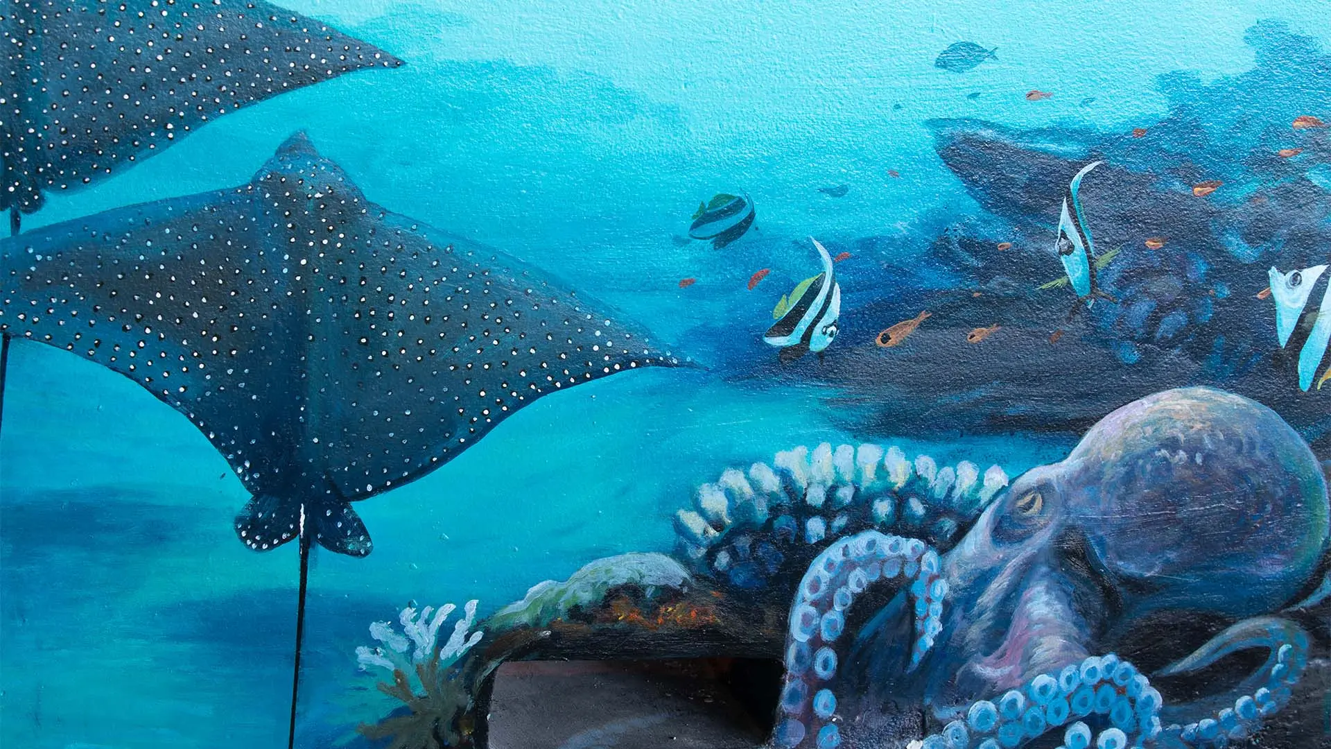 ダワ・イフル・マルディブ - 故事图片 6