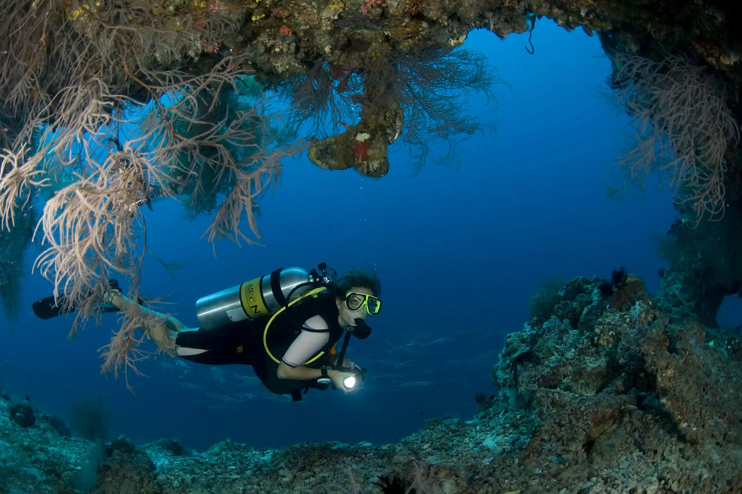 Ocean Dive Centre - pic 12