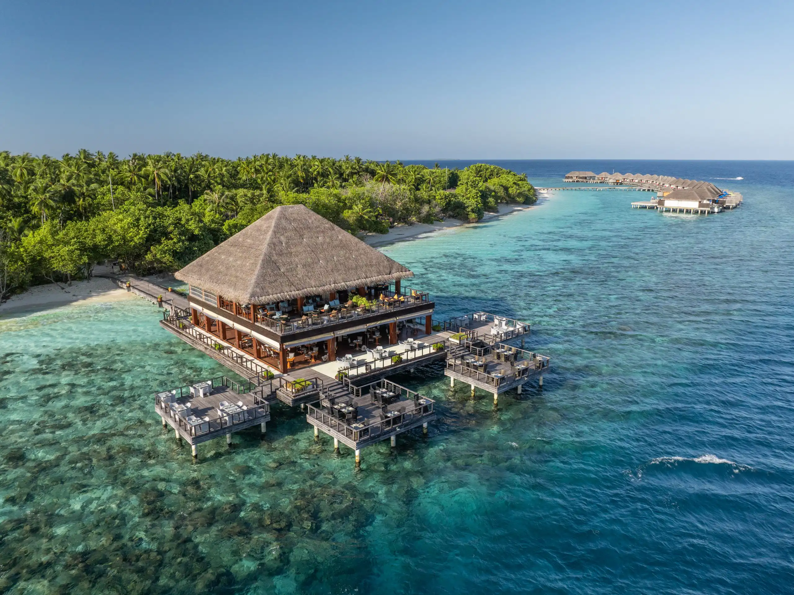 ベンジャロン - pic 2