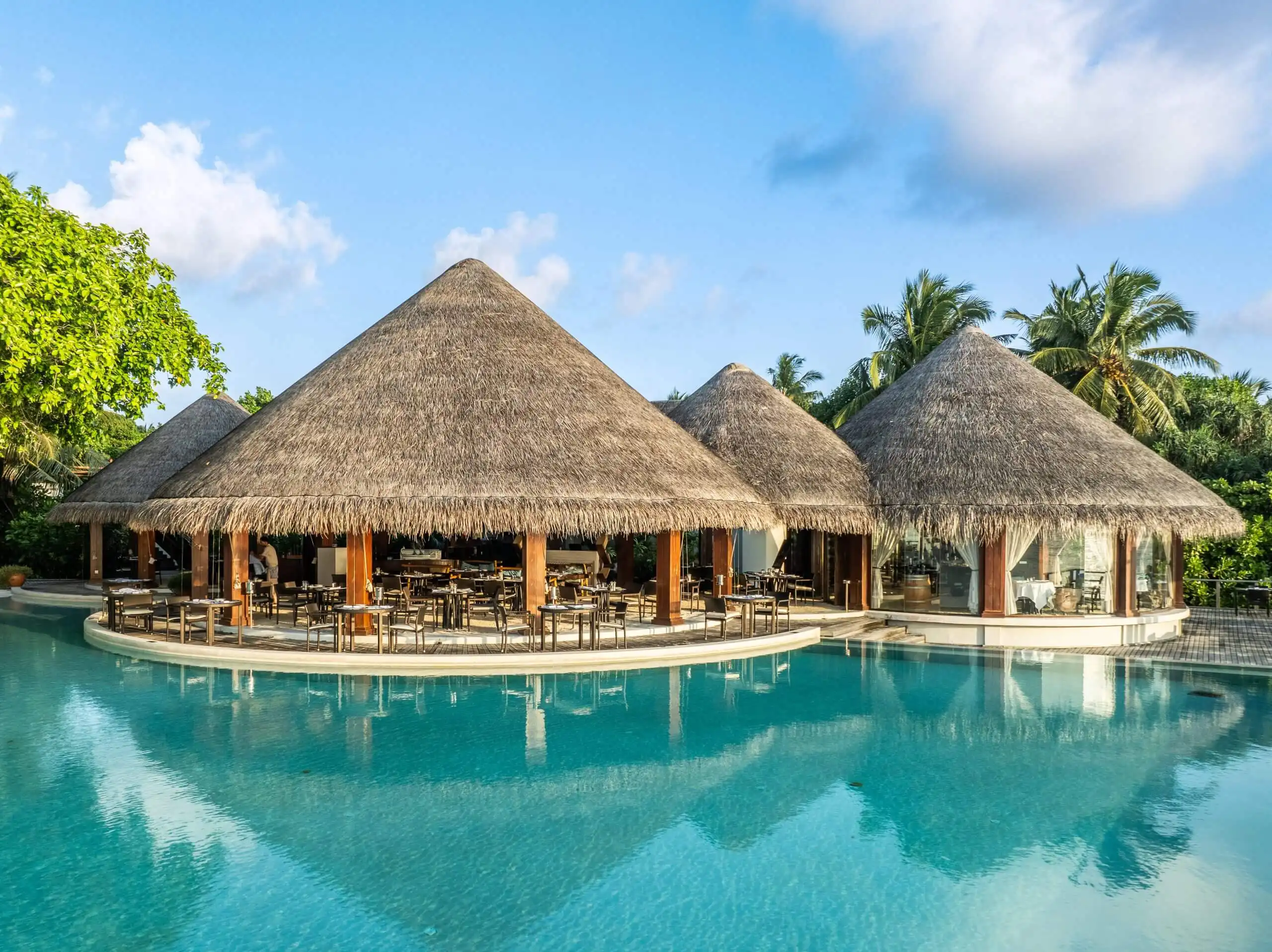 シーグリル - pic 2