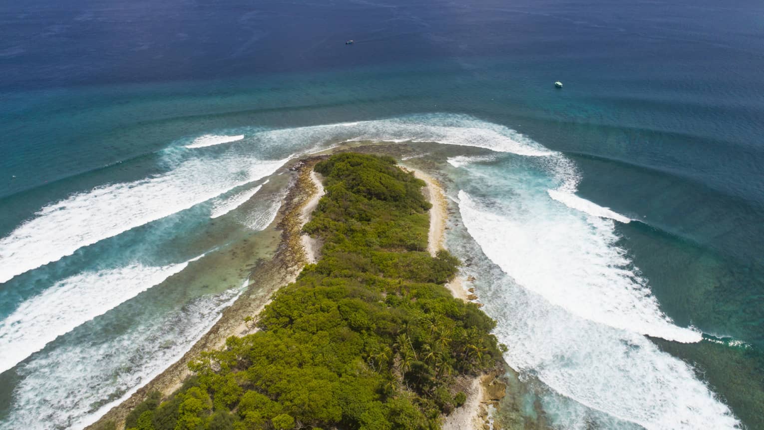 Tropicsurf冲浪学校 - pic 2