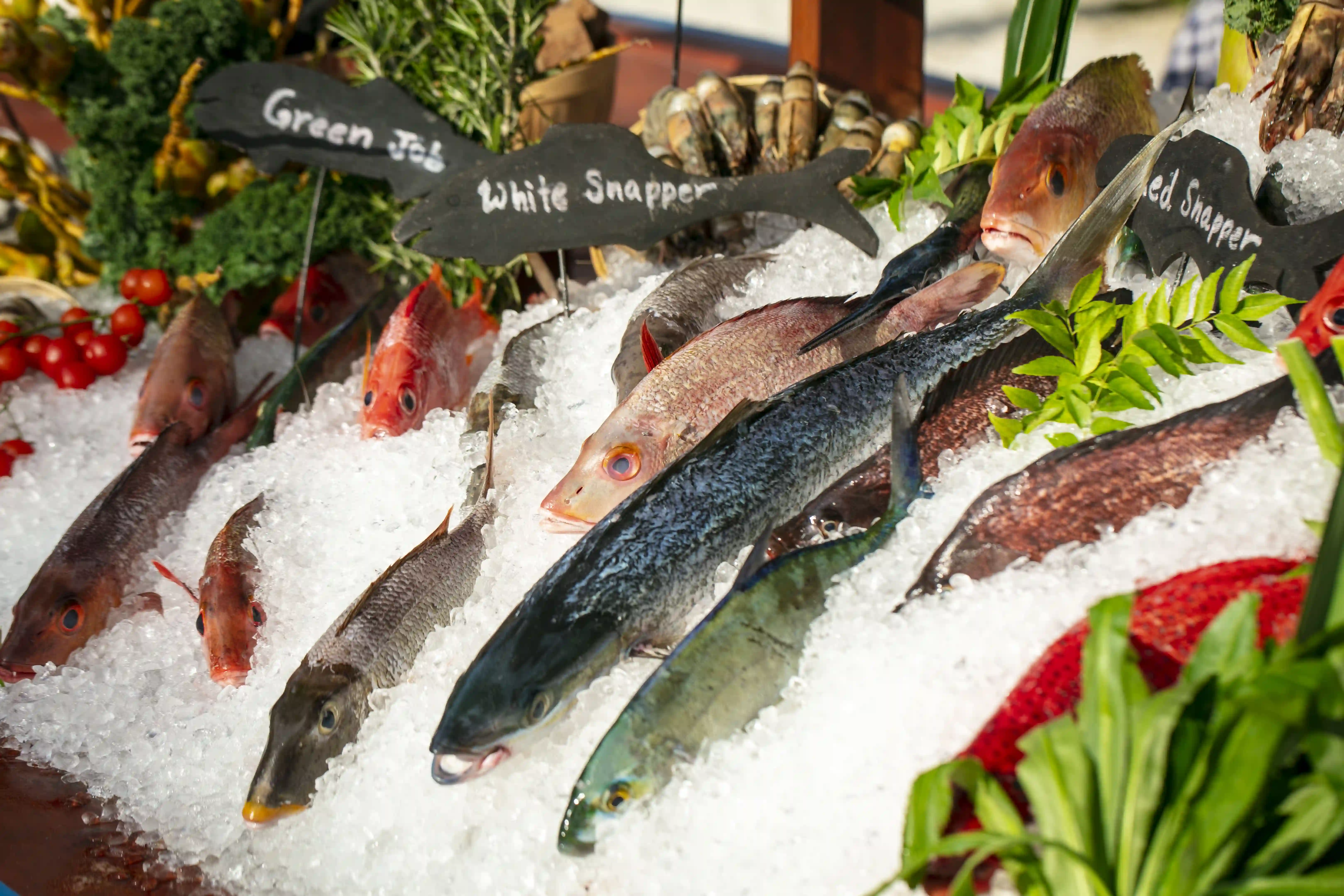 カンドゥ・グリル - pic 3