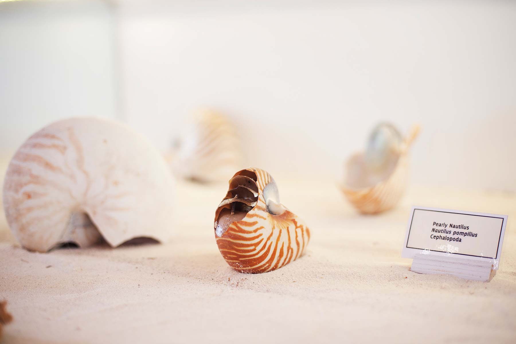 生态中心 - pic 2