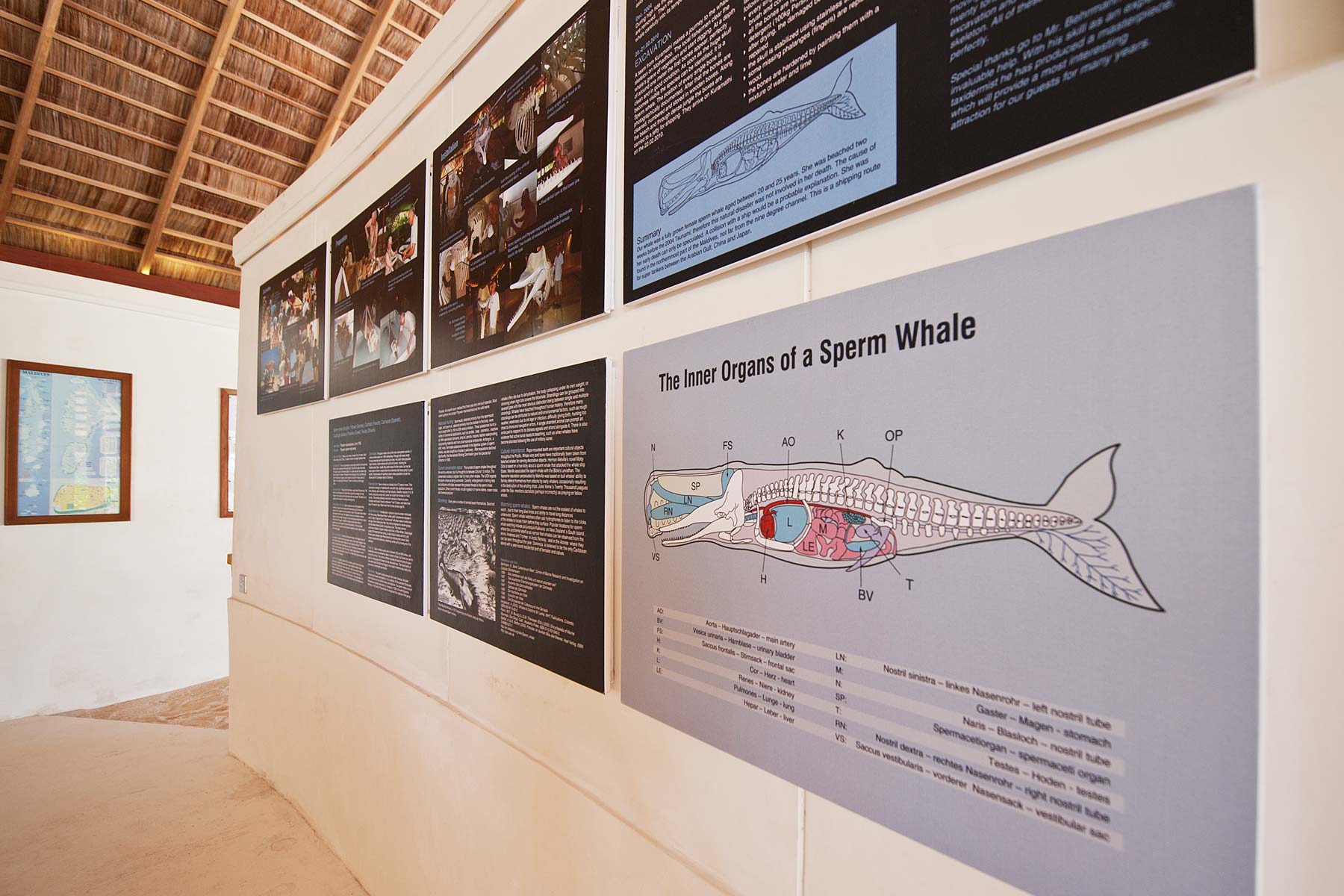 生态中心 - pic 3