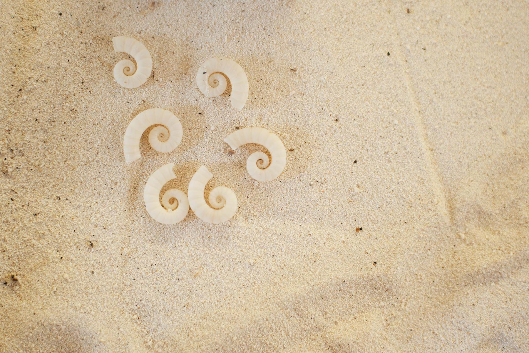 生态中心 - pic 4