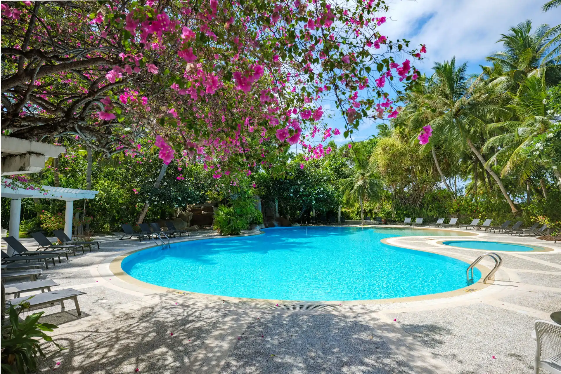 プールバー (Pool Bar)