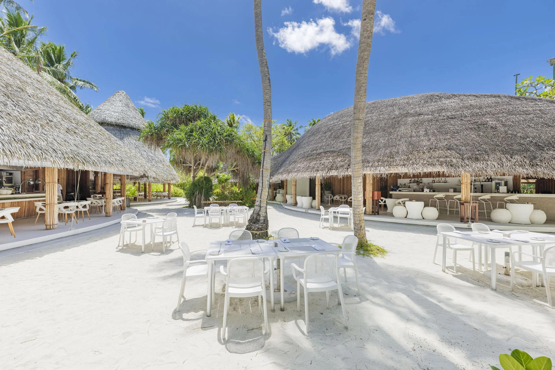 パーム (Palm) - pic 2