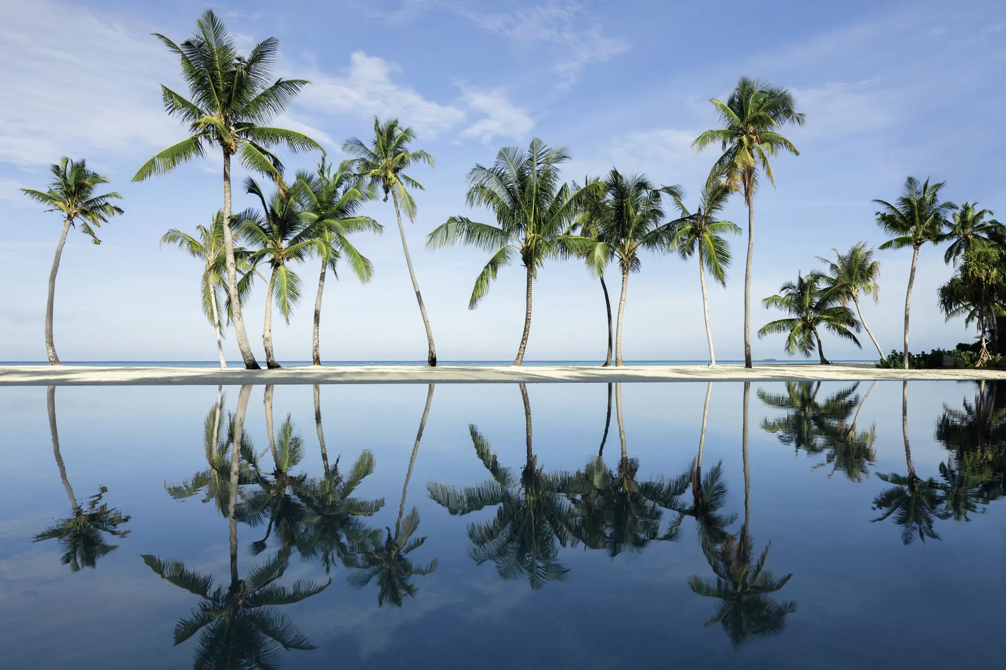 铂尔曼马尔代夫马姆塔岛度假酒店 - 故事图片 3