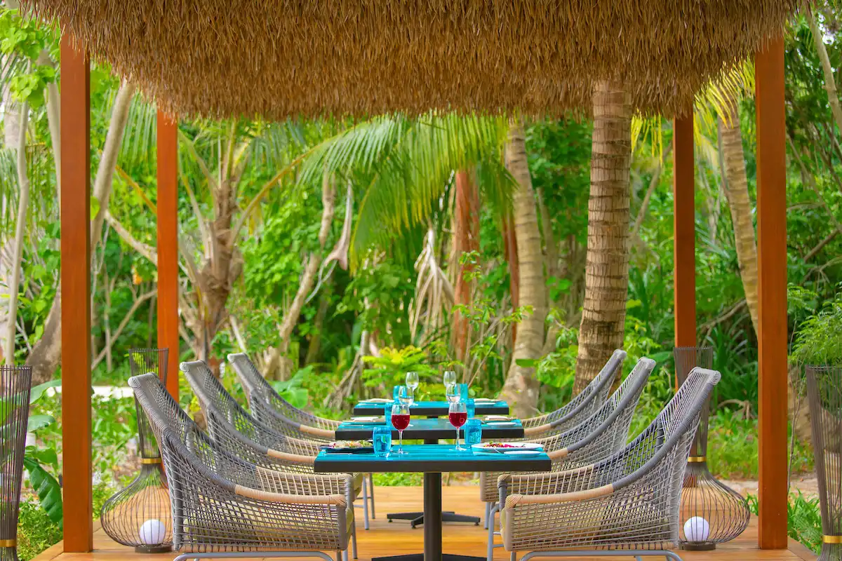 Phat Chameleon 有機素食餐廳 - pic 4