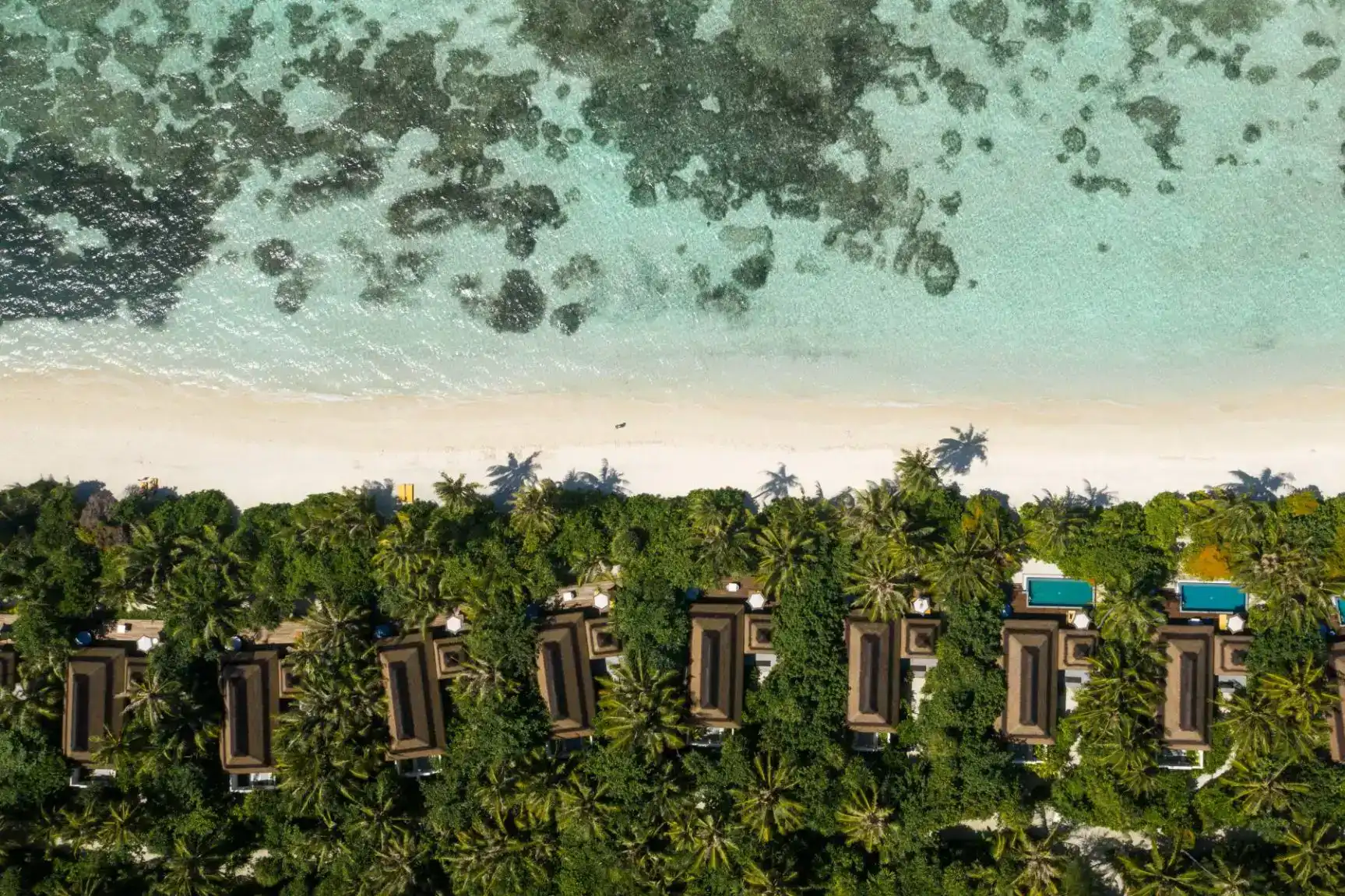 海滩别墅 - 纯粹海岛生活美学的原始沙滩秘境 - 房型图片 2