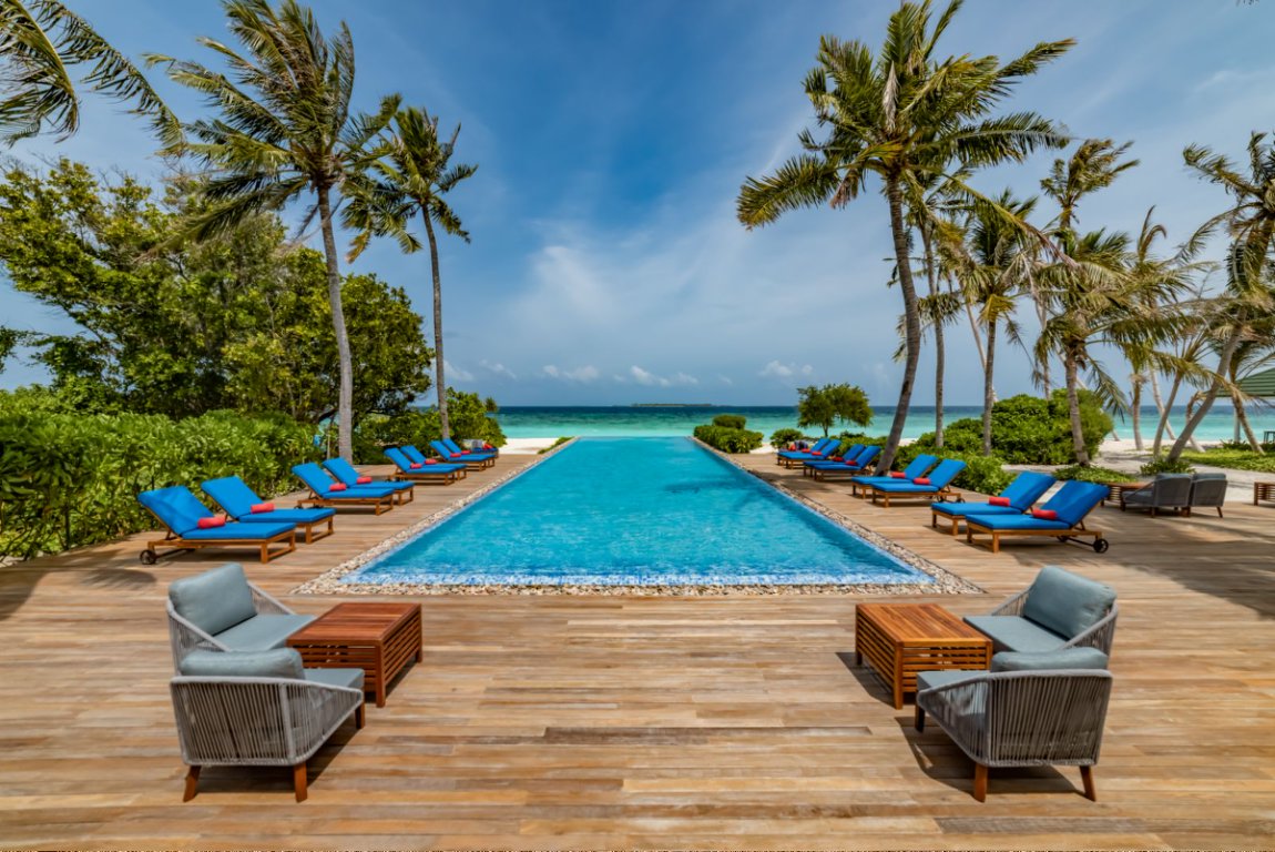 The Orchid Bar - pic 5