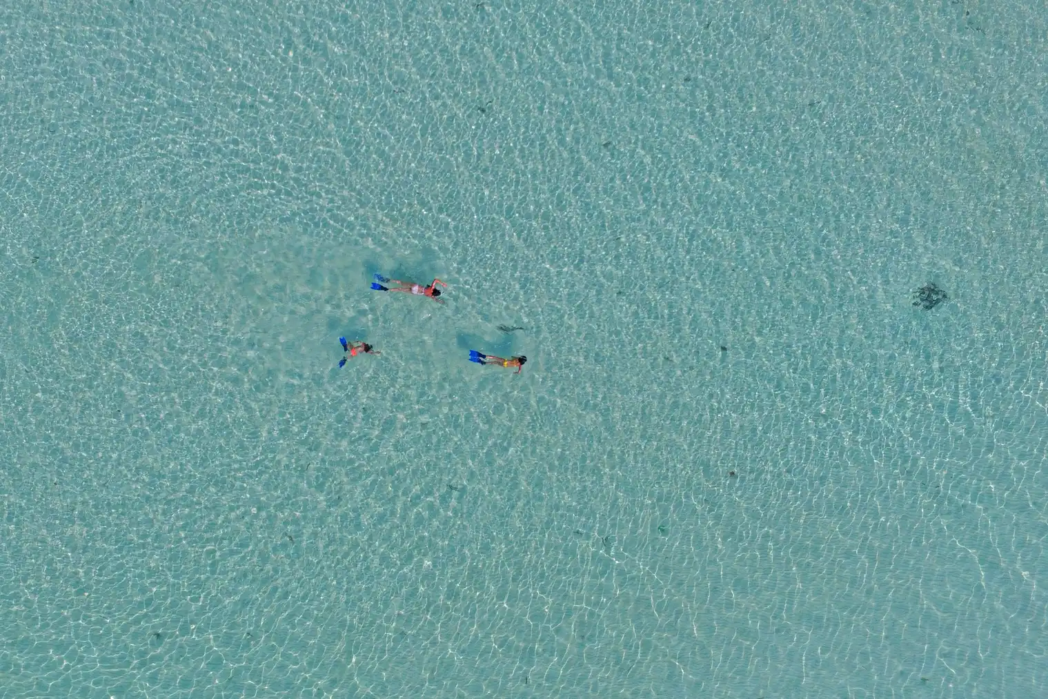 Dive Center & Watersports - pic 9