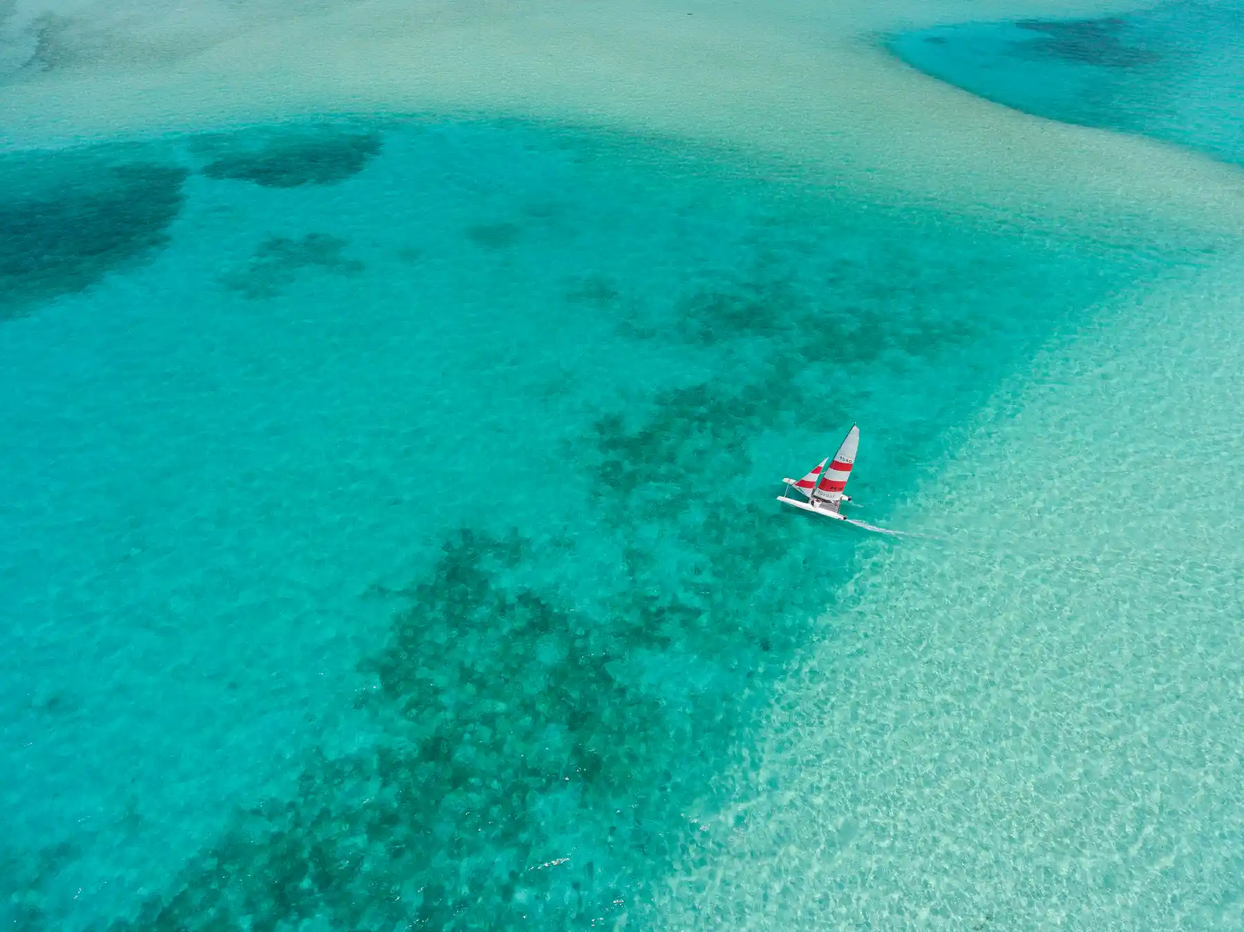 Dive Center & Watersports - pic 3