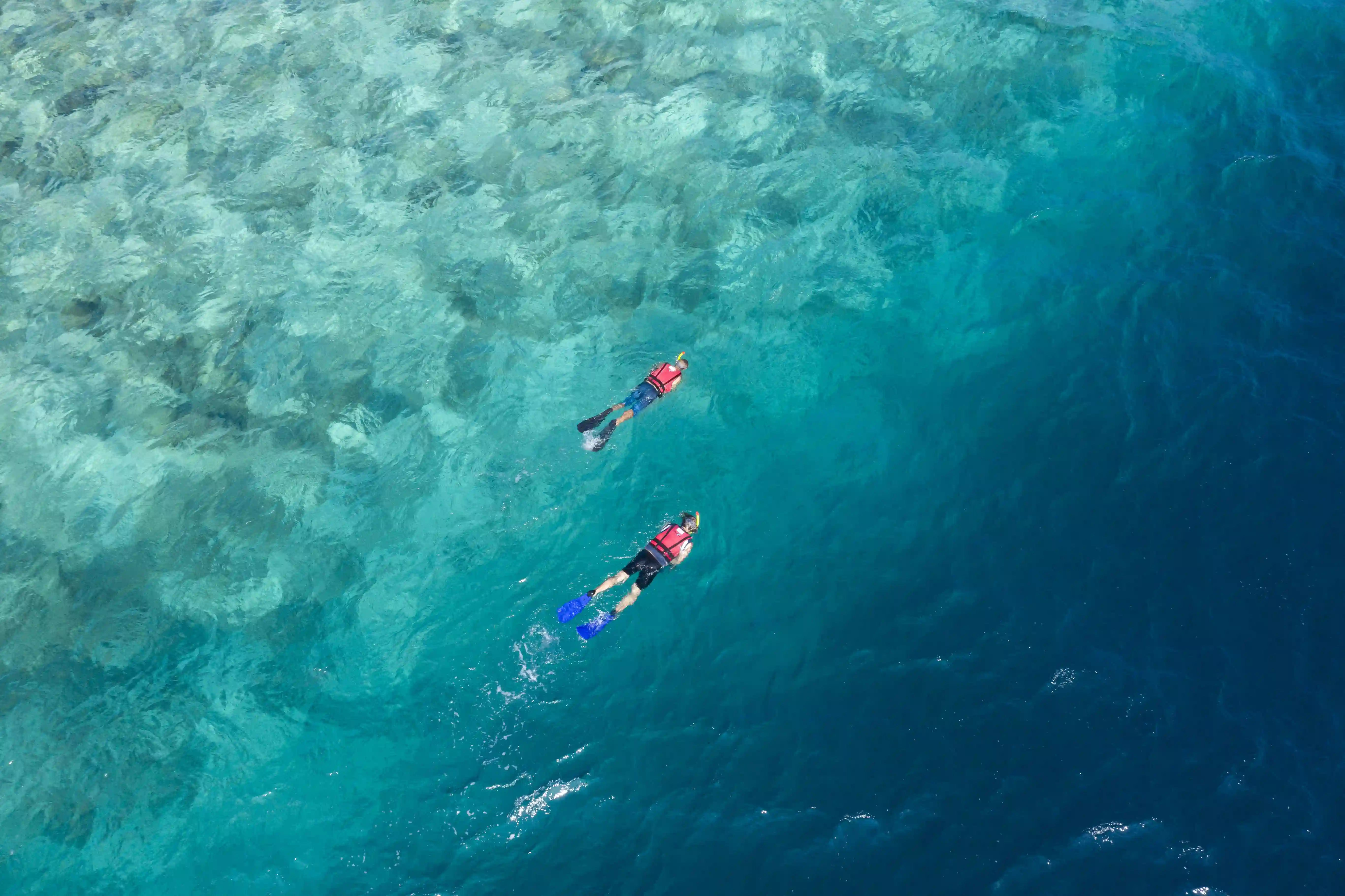 Aqua ウォータースポーツセンター - pic 5