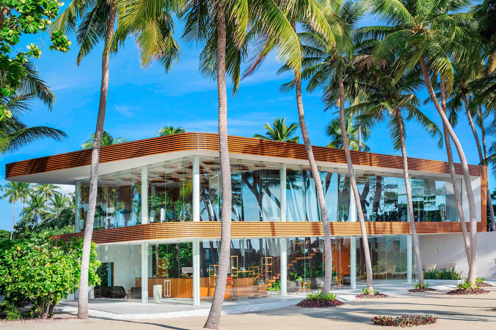 馬爾地夫米蘭胡島威斯汀度假酒店 - 故事图片 5